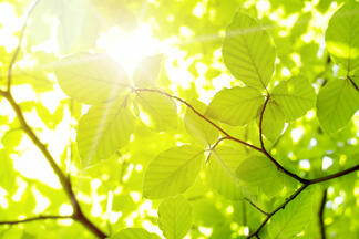 Unabhängigkeit | Wärme & Strom | Sonne