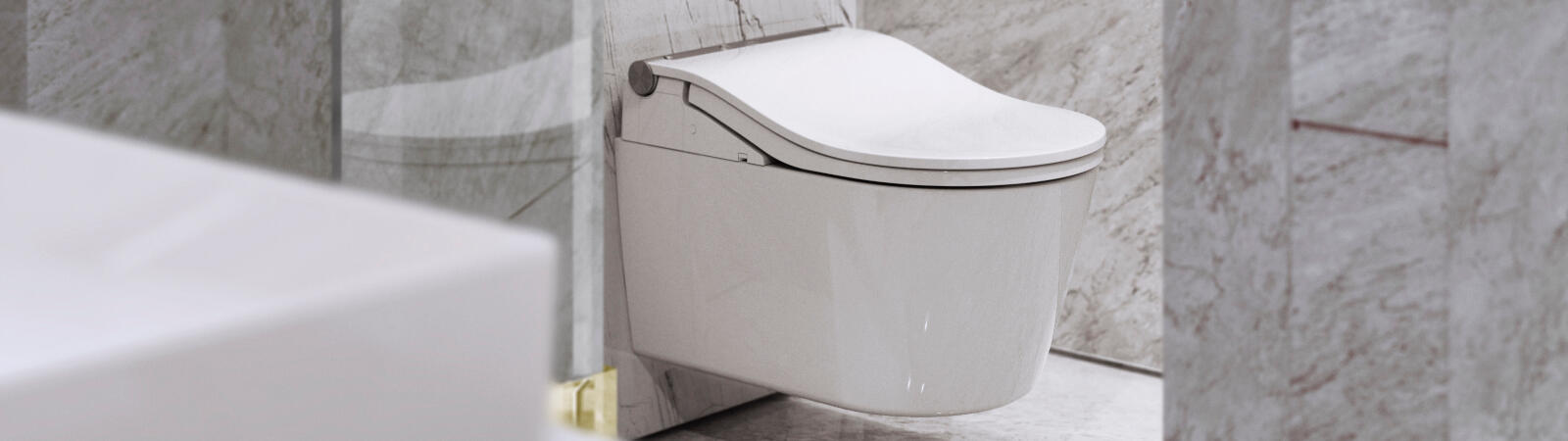 Dusch-WC Washlet RW von Toto